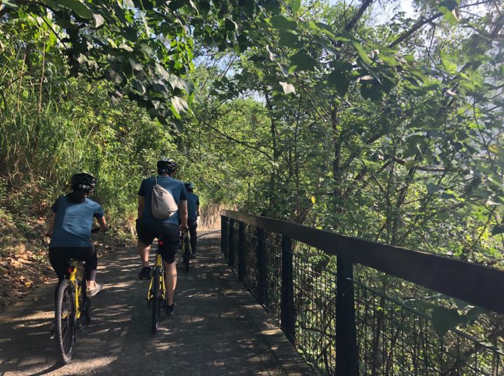 🚲【集鐵小鎮瘋鐵馬 八百騎士齊追風】🚲系列6/6