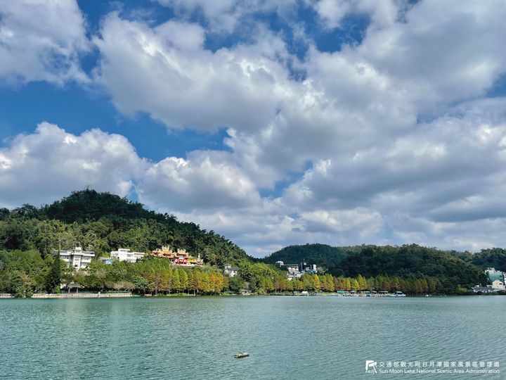 🍂【日月潭落羽松漸漸變紅了】🍂系列9/12