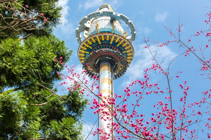 浪漫粉紅風暴襲捲全台🌸🌸🌸系列5/8