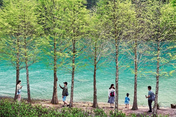 一起抓住夏天尾巴☀️(文末有活動)系列2/4